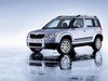 Skoda Yeti ju� w polskich salonach