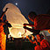 Tajlandia: �wi�to Loy Krathong