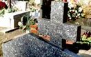 W kwe�cie na Starych Pow�zkach zebrali wi�cej, ni� przed rokiem