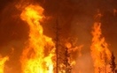 Zmiany klimatu powoduj� coraz wi�cej po�ar�w