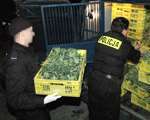  Czy seks i narkotyki da si� wliczy� do polskiego PKB?
