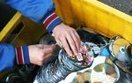 Rzecznik CBA handlowa� pirackimi p�ytami?