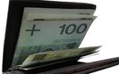 Internauci rzadziej korzystaj� z debet�w i kart kredytowych