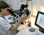  In vitro w Sejmie. Batalia o rynek wart nawet 135 mln z�