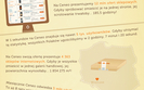 Siedem lat Ceneo. 5 tys. u�ytkownik�w w ci�gu sekundy