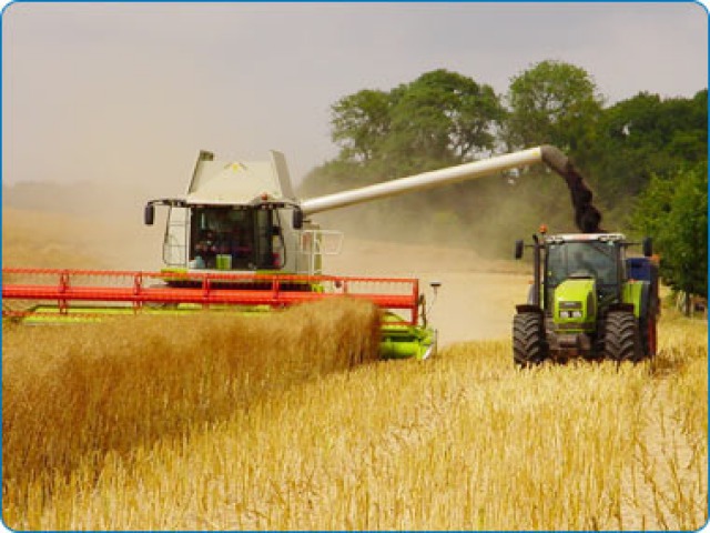 organic agriculture thesis Here you can find our current possible master thesis and phd topics, please contact us if interested. organic agriculture thesis Here you can find our current possible master thesis and phd topics, please contact us if interested.