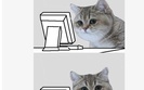 Kot, kt�ry paczy. Kr�tka historia internetowego mema