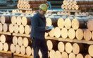 KGHM chce wykiwa� rz�d. Uda im si�?