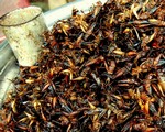 Wiadomo�ci: Szara�cza z chilli i larwy w czekoladzie: M�ska dieta 
