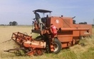 TK wyda� wyrok w sprawie wykupu grunt�w rolnych