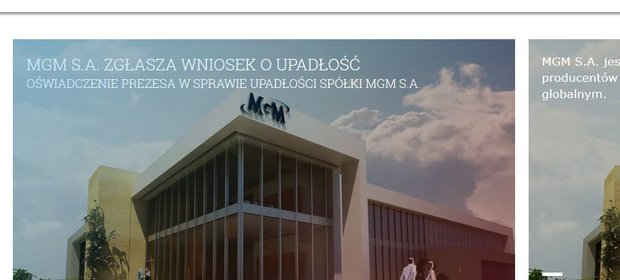 strona internetowa spółki MGM