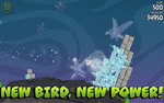  Angry Birds przynosz� milionowe zyski
