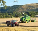 Uprawy zb� ozimych i rzepaku w fatalnym stanie przez mr�z