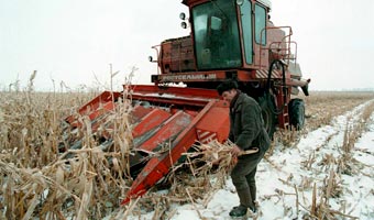 K�ka Rolnicze broni� KRUS