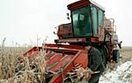 PSL kupi wyborc�w? 2,5 mln ha ziemi dla rolnik�w
