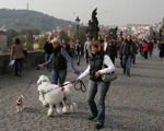  Czechy przyj�y rekordow� liczb� cudzoziemc�w