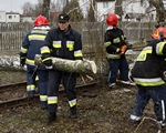 Meteorolodzy ostrzegaj� przed silnym wiatrem  