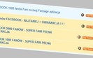 Kto sprzedaje najwi�cej fan�w na Allegro?