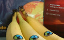 Fair Trade nie pomaga biednym. Mia�d��cy raport