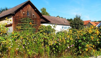 Alarmuj�cy raport NIK. Ma�e gminy sobie nie radz�