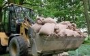 Zamkni�to most na drodze Bielsko-Bia�a - Krak�w