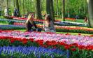 Prognoza pogody na weekend. Tylko s�o�ce