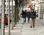  Zbieraj li�cie, bo dostaniesz mandat