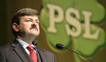 Europoseł PSL osiem razy droższy niż w PO