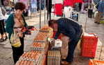  Ovostar Union chce uruchomi� nowy program inwestycyjny