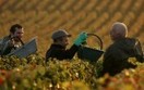 Mniej biurokracji przy zatrudnianiu cudzoziemc�w