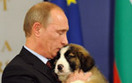 Rosjanie wybieraja imi� dla nowego psa Putina