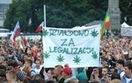 Butelki i jajka w obronie marihuany  