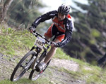  Artex: Jeden rower, dwudziestu producent�w