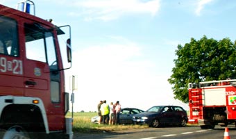 Tragiczny weekend na drogach. 11 ofiar w jedną noc