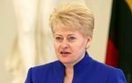 Litewski politolog krytykuje sw�j kraj za wypowied� o Polsce