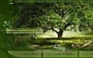 Ekologiczne szeptanie zach�ci�o do sadzenia