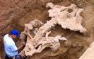 Nawet w�r�d mamut�w zdarza�y si� kar�y