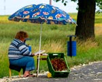Handel na ulicach b�dzie karany grzywn�