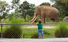 Raport UE: W Polsce z�e warunki zwierz�t w zoo