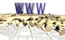 Nazwa firmy zamiast .com. Rewolucja w domenach