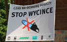 Greenpeace bije polskich gigant�w na g�ow�