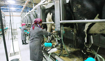 Samorząd zachęca rolników do ekologicznej produkcji