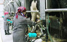 Samorz�d zach�ca rolnik�w do ekologicznej produkcji