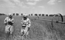 Czarnobyl 26 lat po katastrofie zn�w gro�ny. Sarkofag si� rozszczelnia