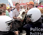  Rolnicy protestuj�. Bo mleko jest za tanie