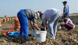 Płaca minimalna w Polsce wśród najniższych w Europie. Za to zarobki rosną szybciej / fot: Tadeusz Koniarz/REPORTER Płaca minimalna w Polsce wśród najniższych w Europie. Za to zarobki rosną szybciej