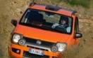 Panda na Dakarze