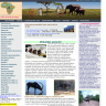 Africangamesafari