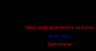 AAP Trading Company - systemy zabezpiecze�