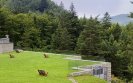 Hotel SPA Dr Irena Eris Krynica Zdr�j